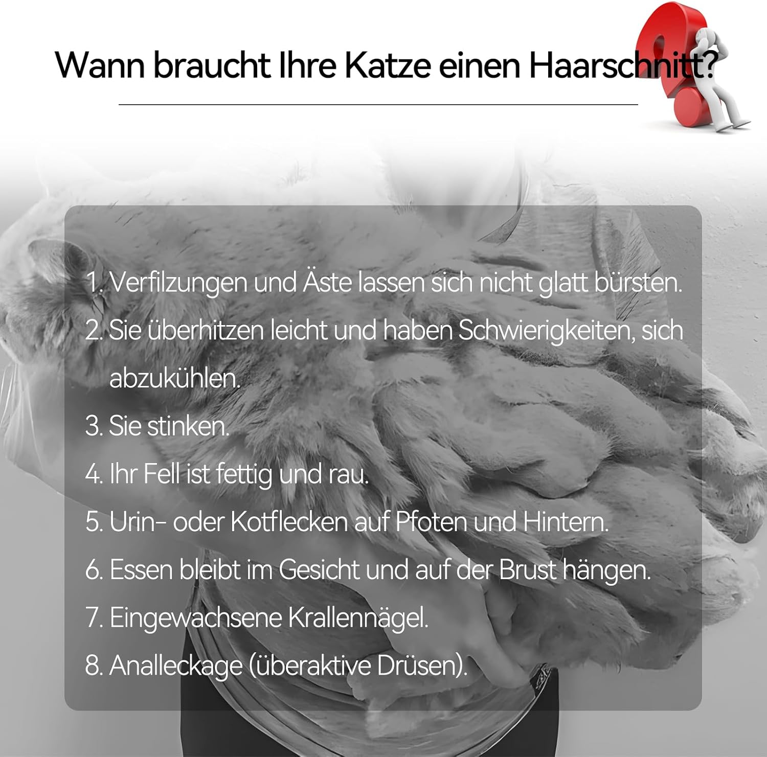 Leise Schermaschine Katze Set,Profi Haarschneidemaschine für Katzen Hunde Verfilztes Fell Pfotenhaare mit Pflegeschere & Kamm,USB-C-Aufladung